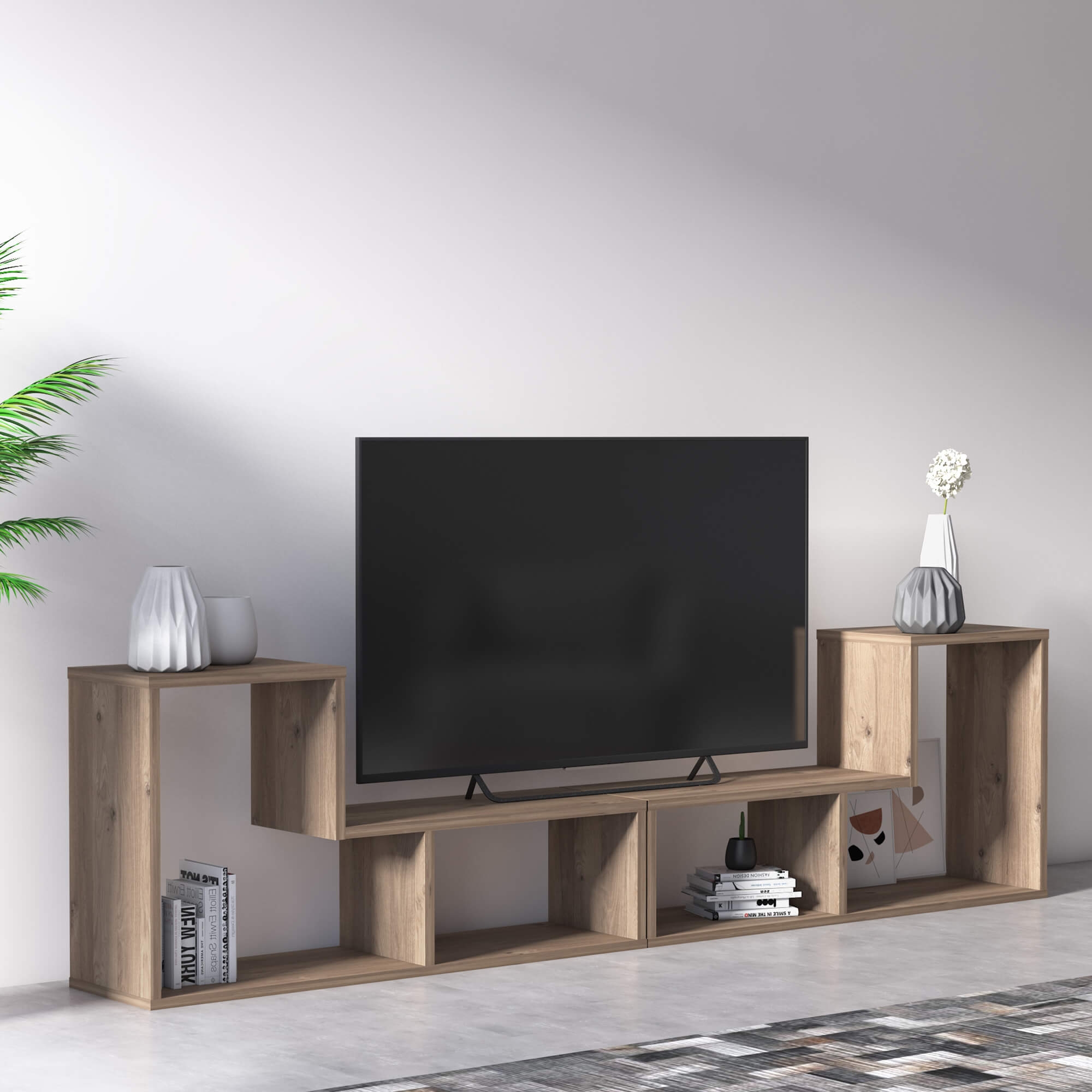 Legon Modern Contemporary TV Unit with Storage