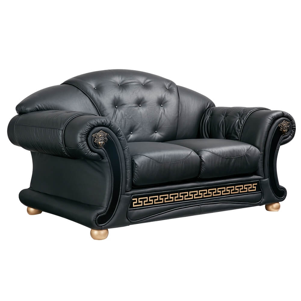 Apolo Leather Loveseat