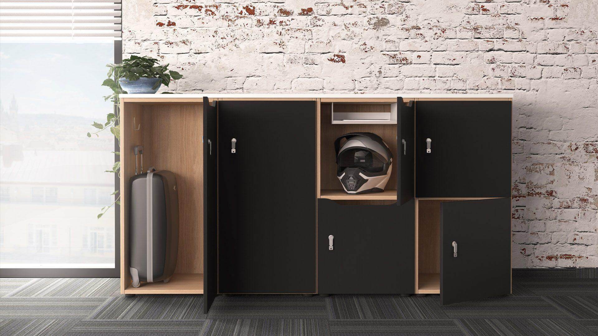 Choice Locker Customizable Cabinet System w/Cylinder Lock with Retention (AP)