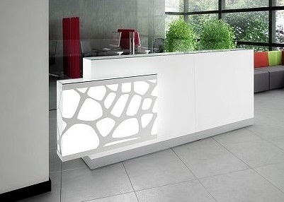 ORGANIC 2-Person Straight Reception Desk w/Left Side RGB Light Panel