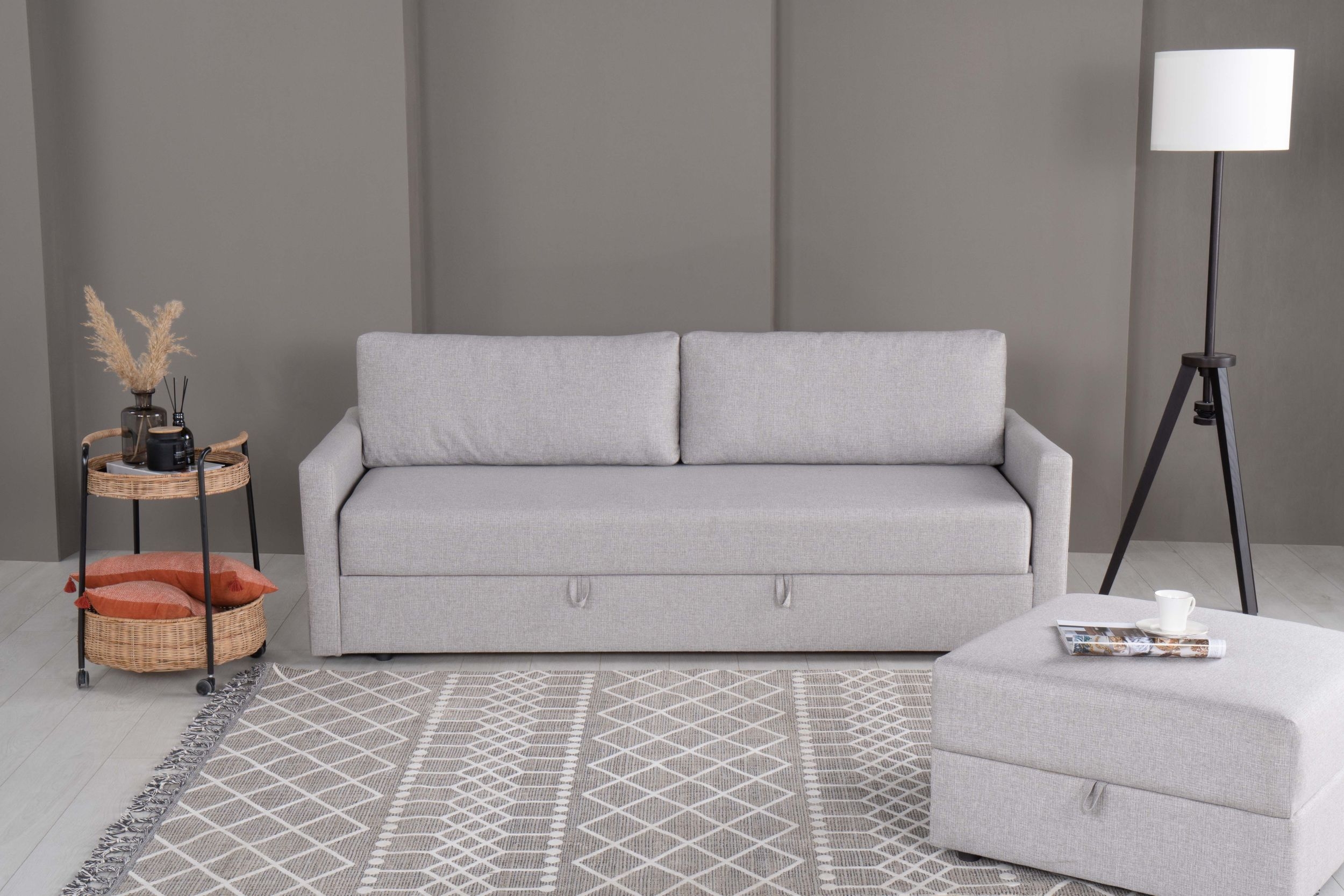 SM Lupin Fabric Pull Out Sleeper Sofa