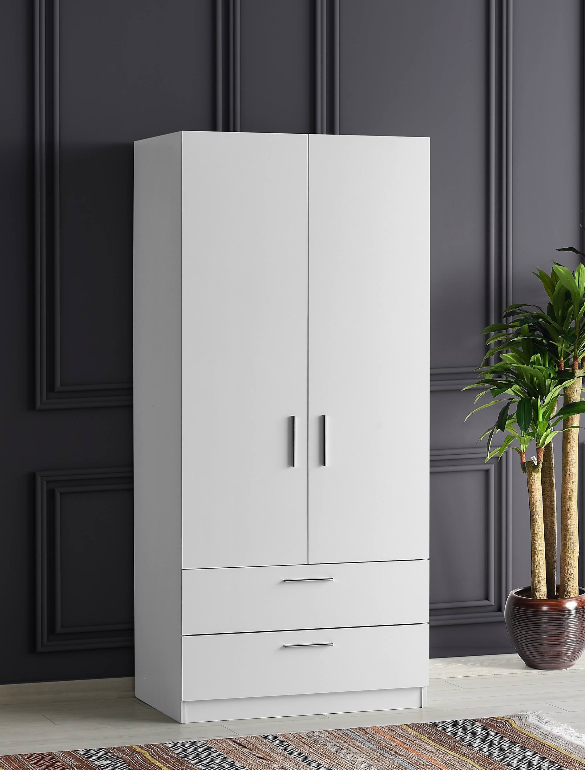 Lyon Matte 2-Door Wardrobe w/2-Drawer Storage