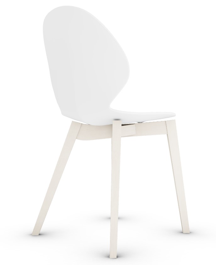 Basil Polypropylene/Leather/Wood Dining Chair