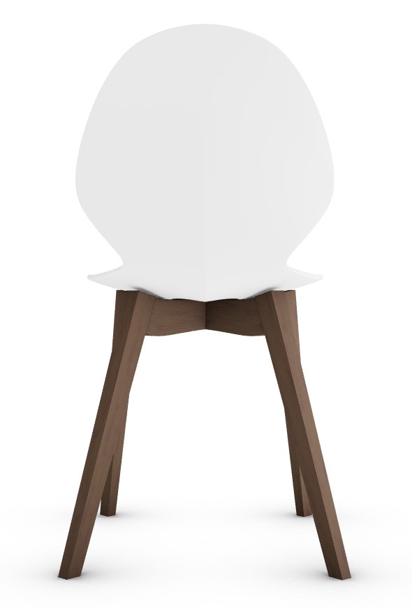 Basil Polypropylene/Leather/Wood Dining Chair