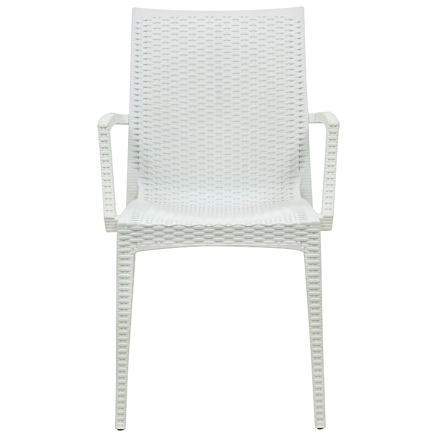 Mace Outdoor Polypropylene Dining Arm Chair (Set of 2)