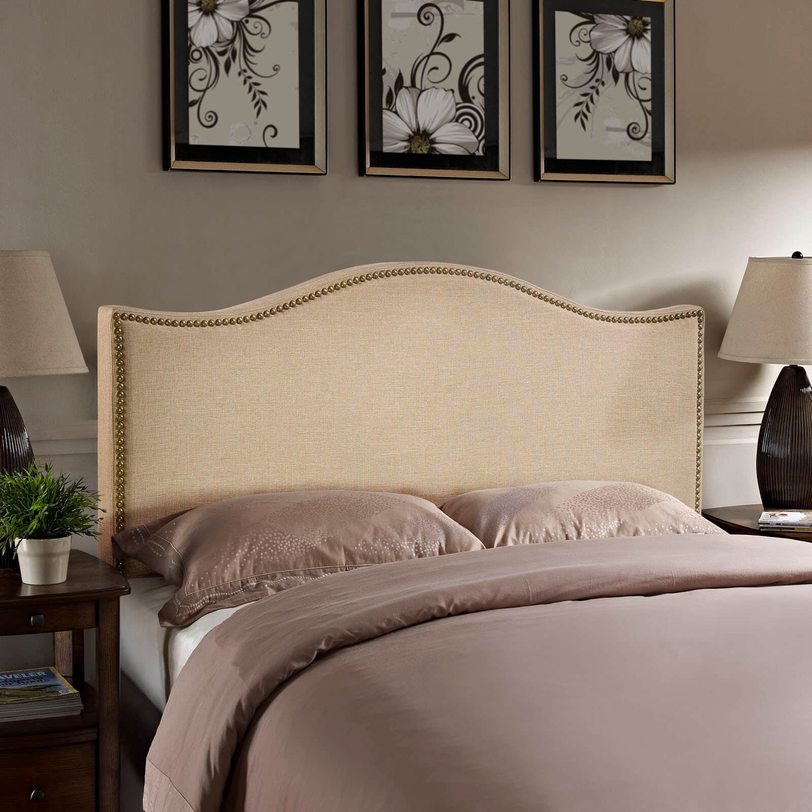 Curl Queen Nailhead Upholstered Headboard, Cafe by Modway Furniture