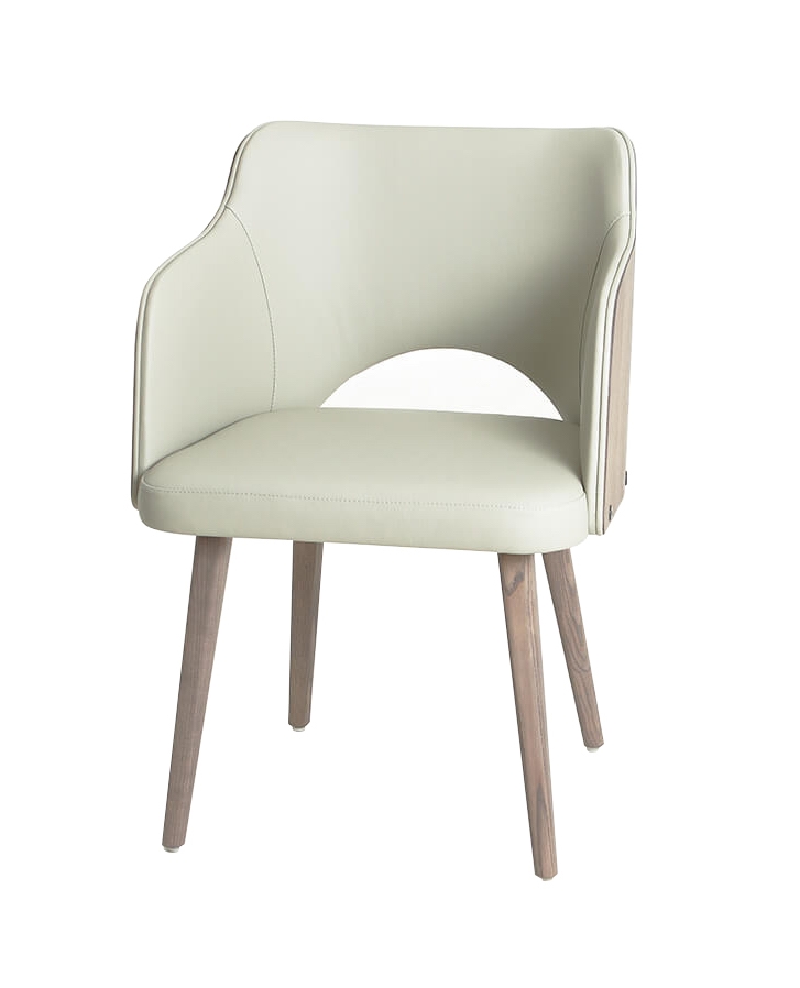 Muritz Leather Armchair