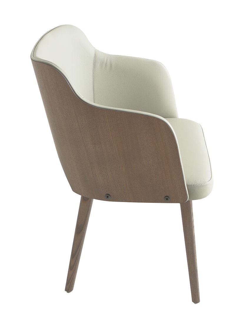 Muritz Leather Armchair