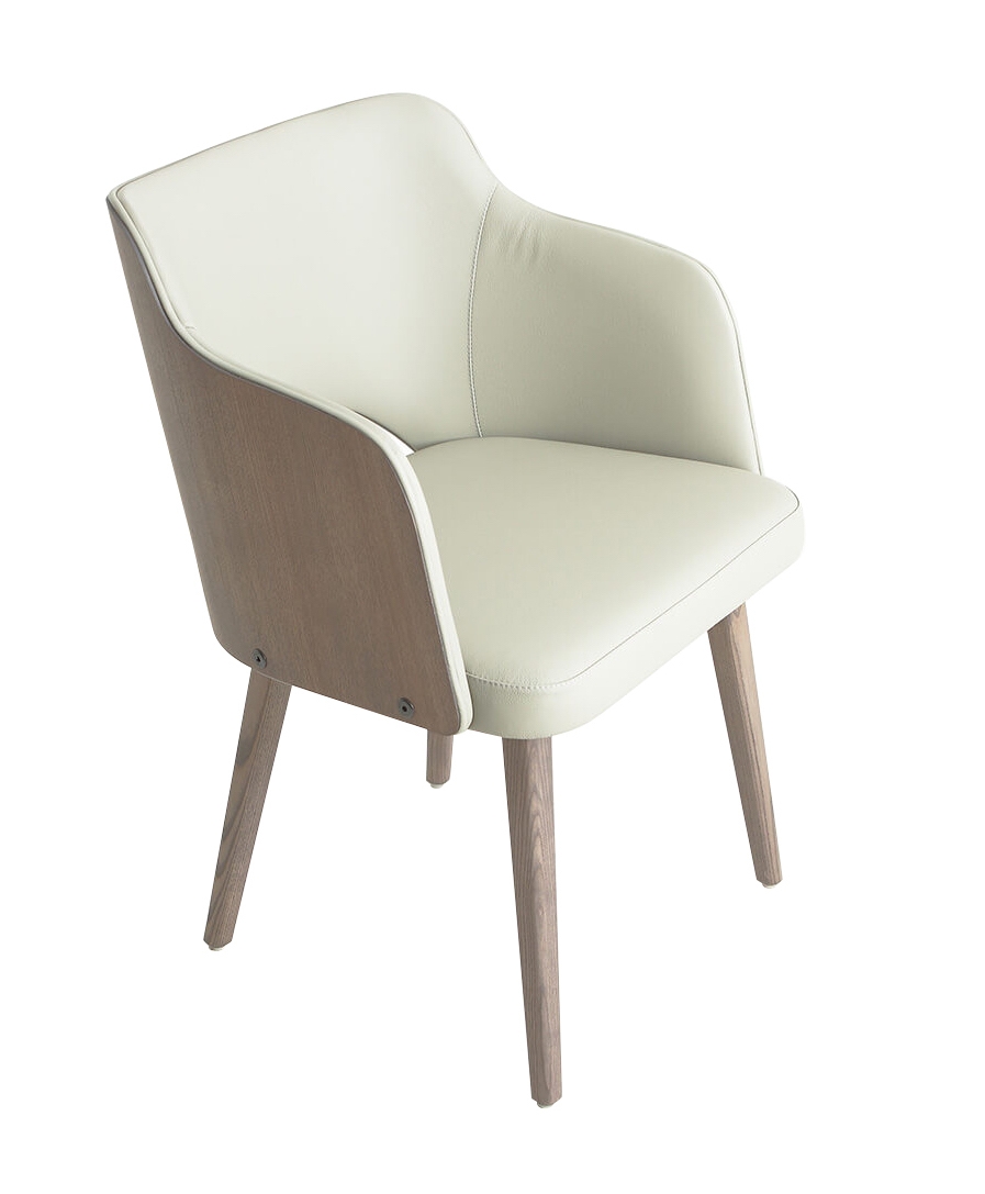Muritz Leather Armchair