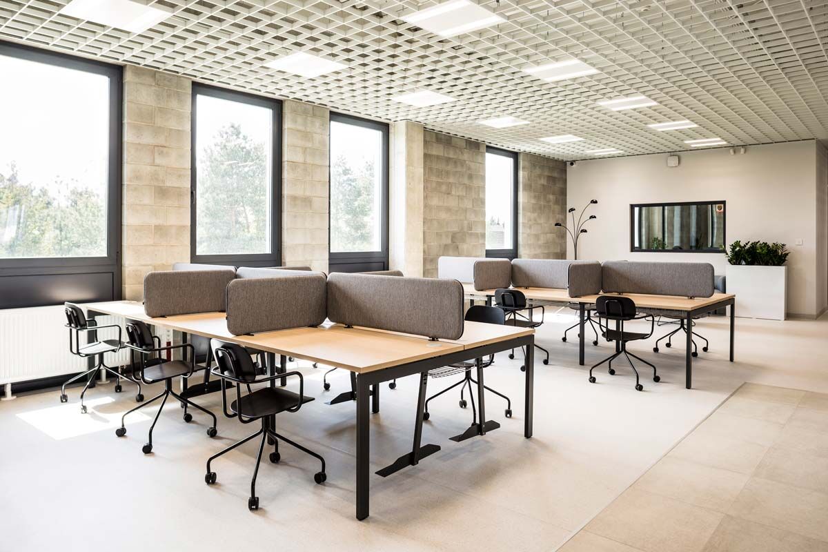New School Plywood Office Chair