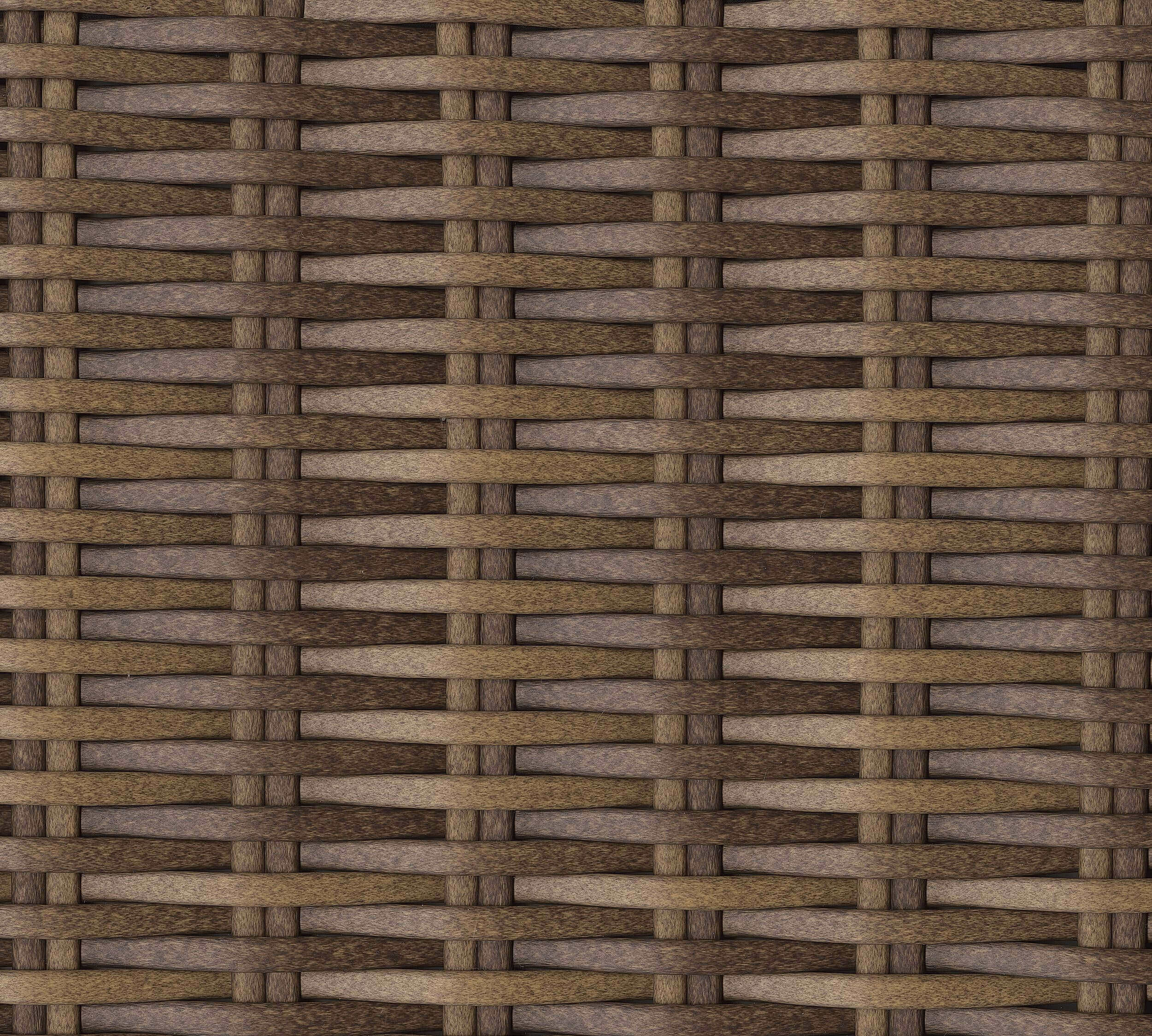 Dolan Creek Resin Wicker Swivel Lounge Chair with Cushion