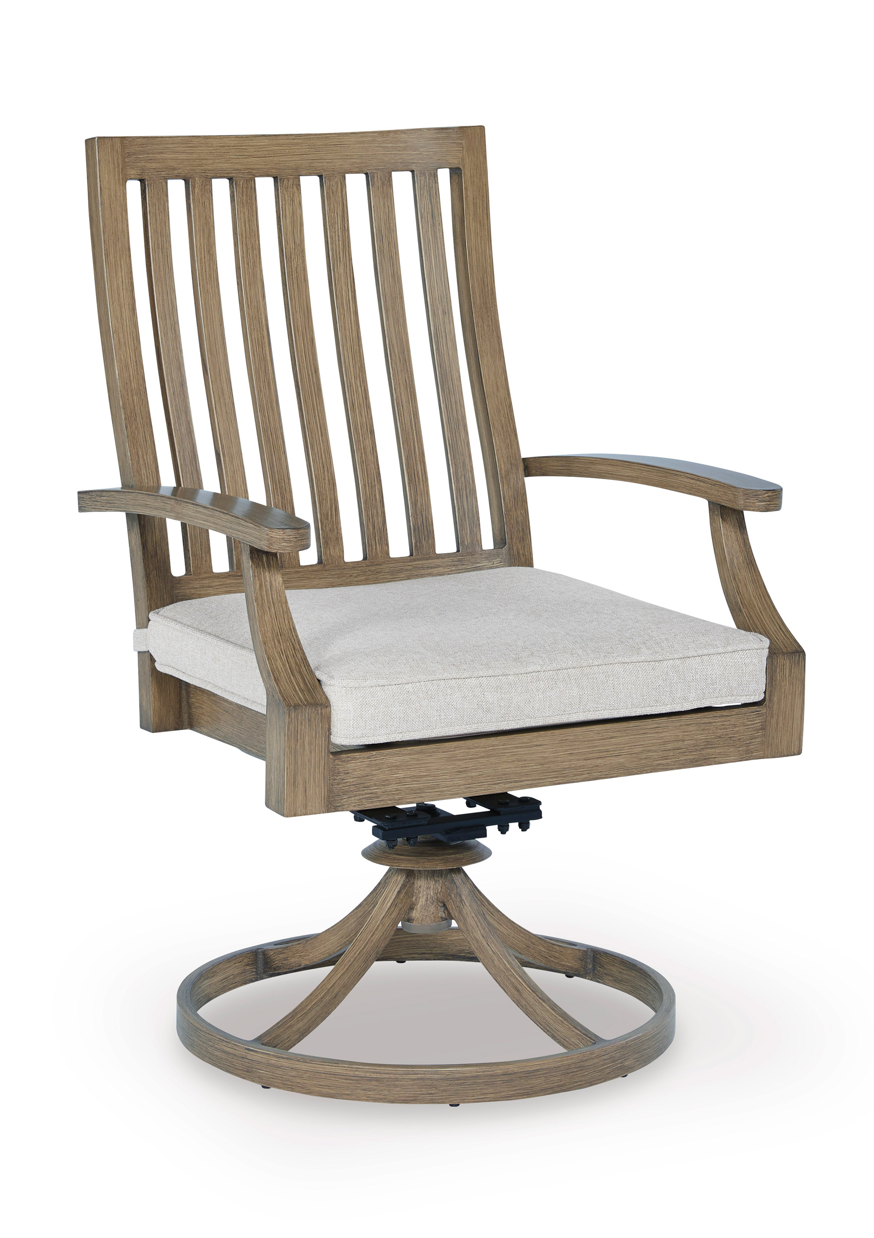 Rainier 2-Piece Ranch Aluminum/Polyester Swivel Chair with Cushion