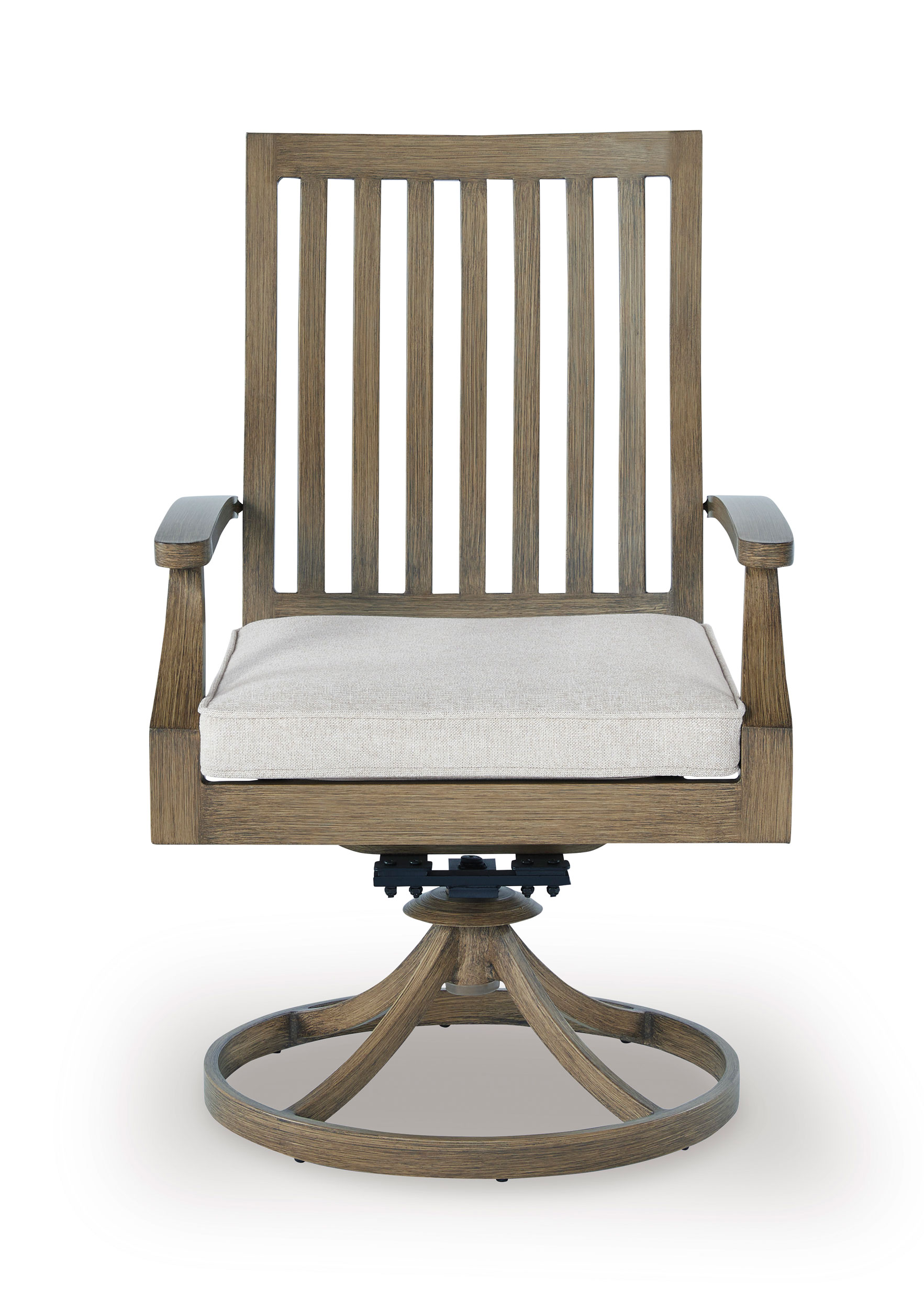 Rainier 2-Piece Ranch Aluminum/Polyester Swivel Chair with Cushion