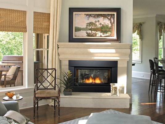 PALISADE 36" Natural Gas DELUXE See-thru Direct Vent Linear Fireplace