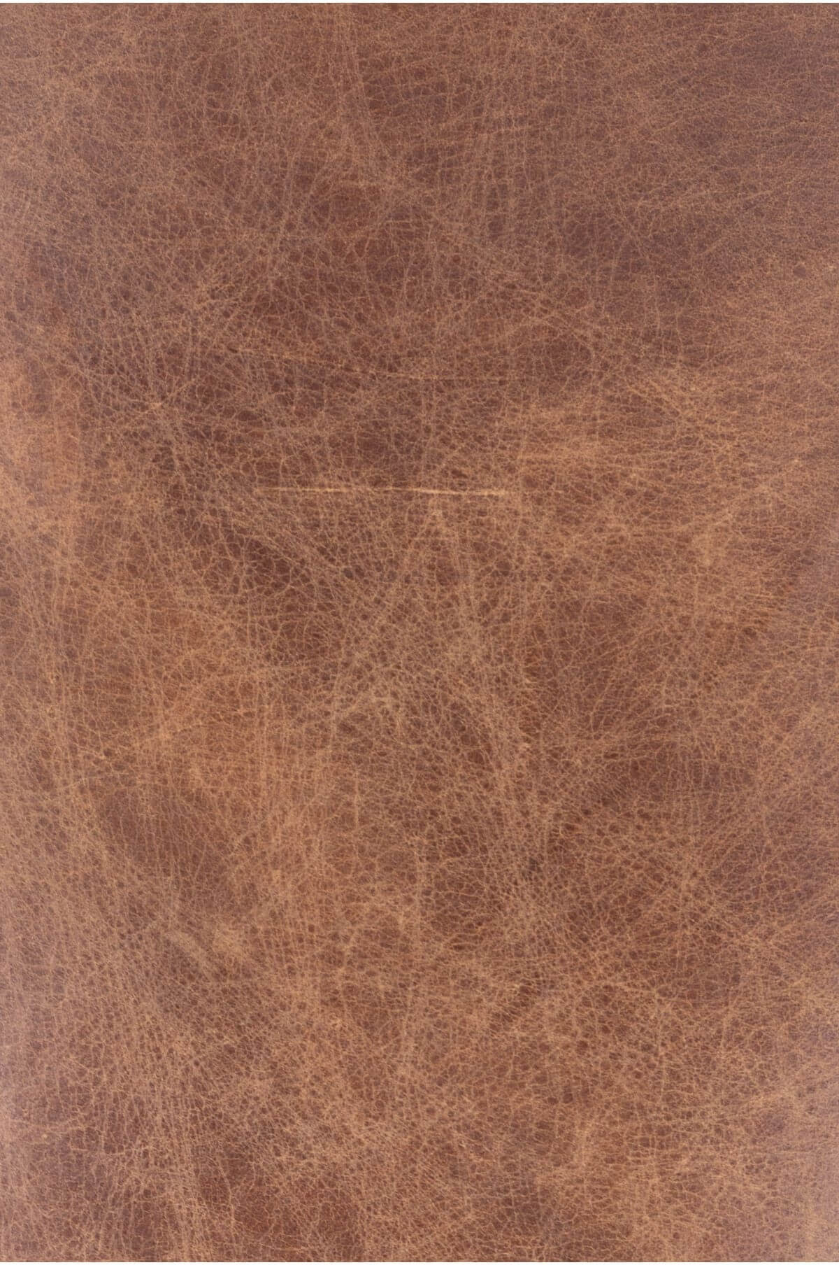 Carlisle Leather Club Chair