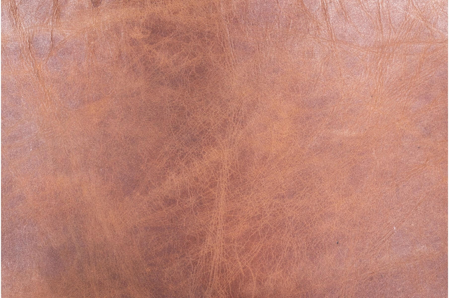 Benedict Dining Chair