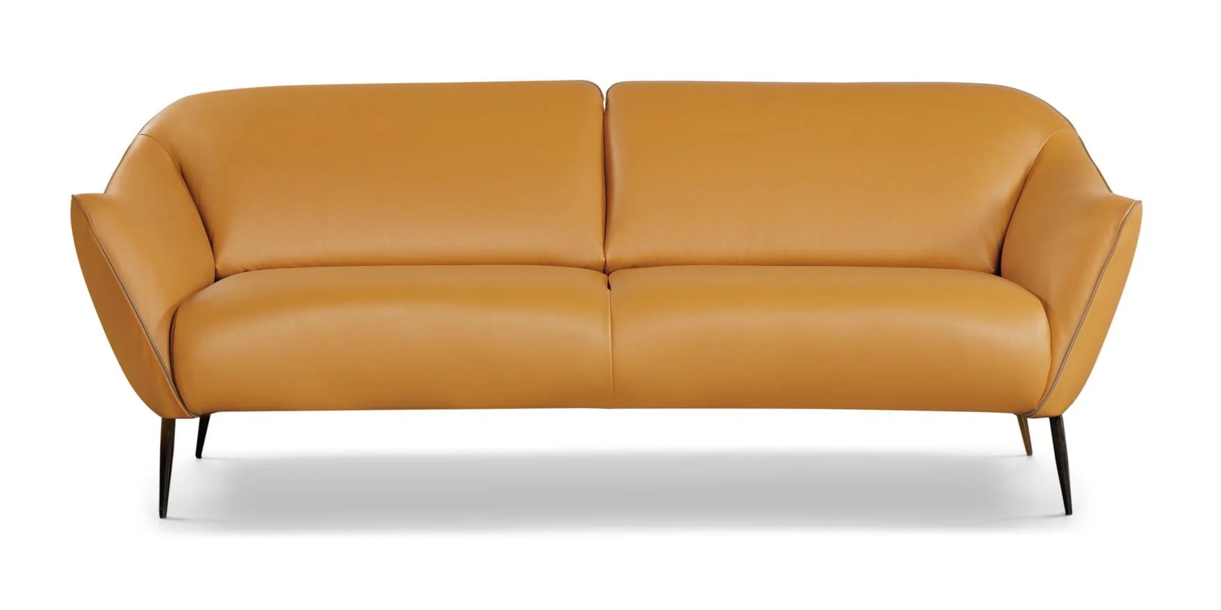 Reflection Leather Sofa