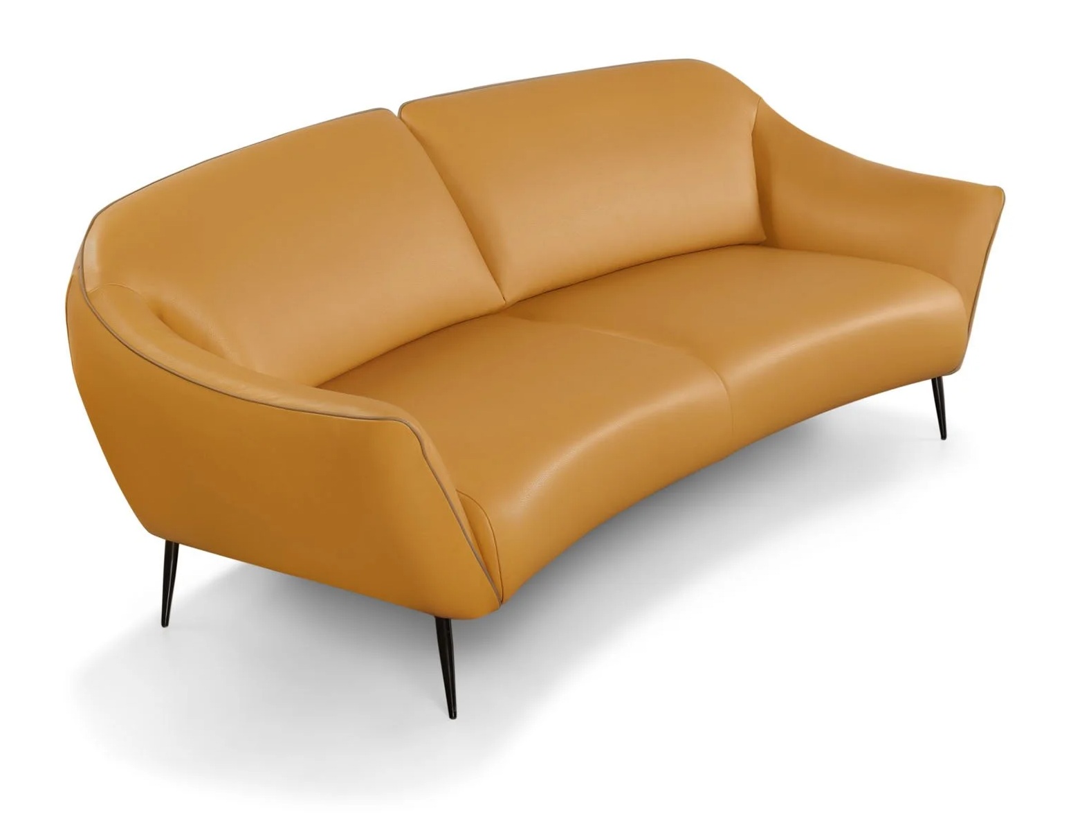 Reflection Leather Sofa