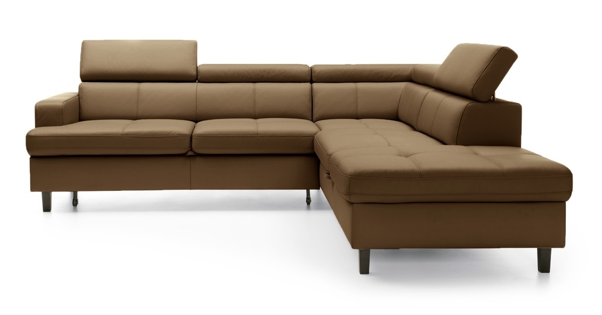 Reno L-Shaped Leather Sleeper Sectional Sofa w/Corner Storage Chaise