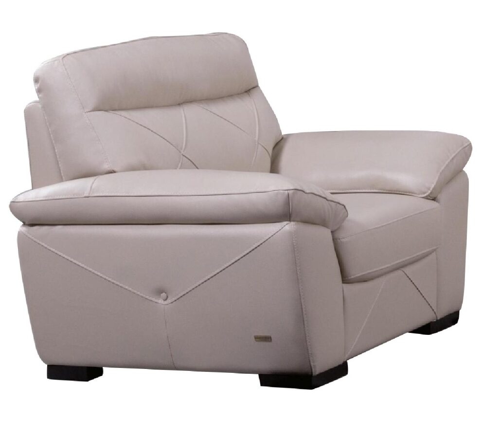S173 Top Grain Leather Match Living Room Set