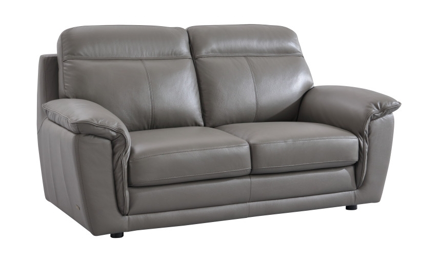 S210 Top Grain Leather Match Loveseat