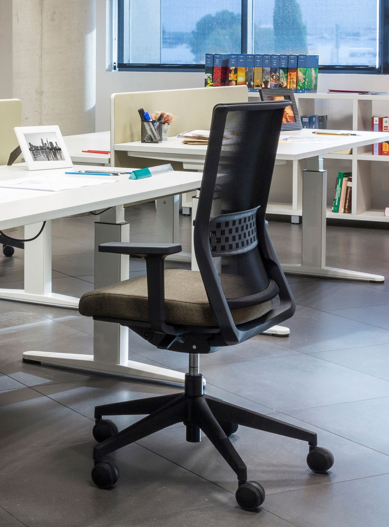 Stay Gaslift/Synchro Mesh Backrest Adjustable Swivel Office Chair w/2D Arms