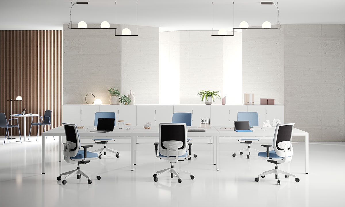 Trim Series 50 Gaslift/Synchro Adjustable Swivel Office Chair