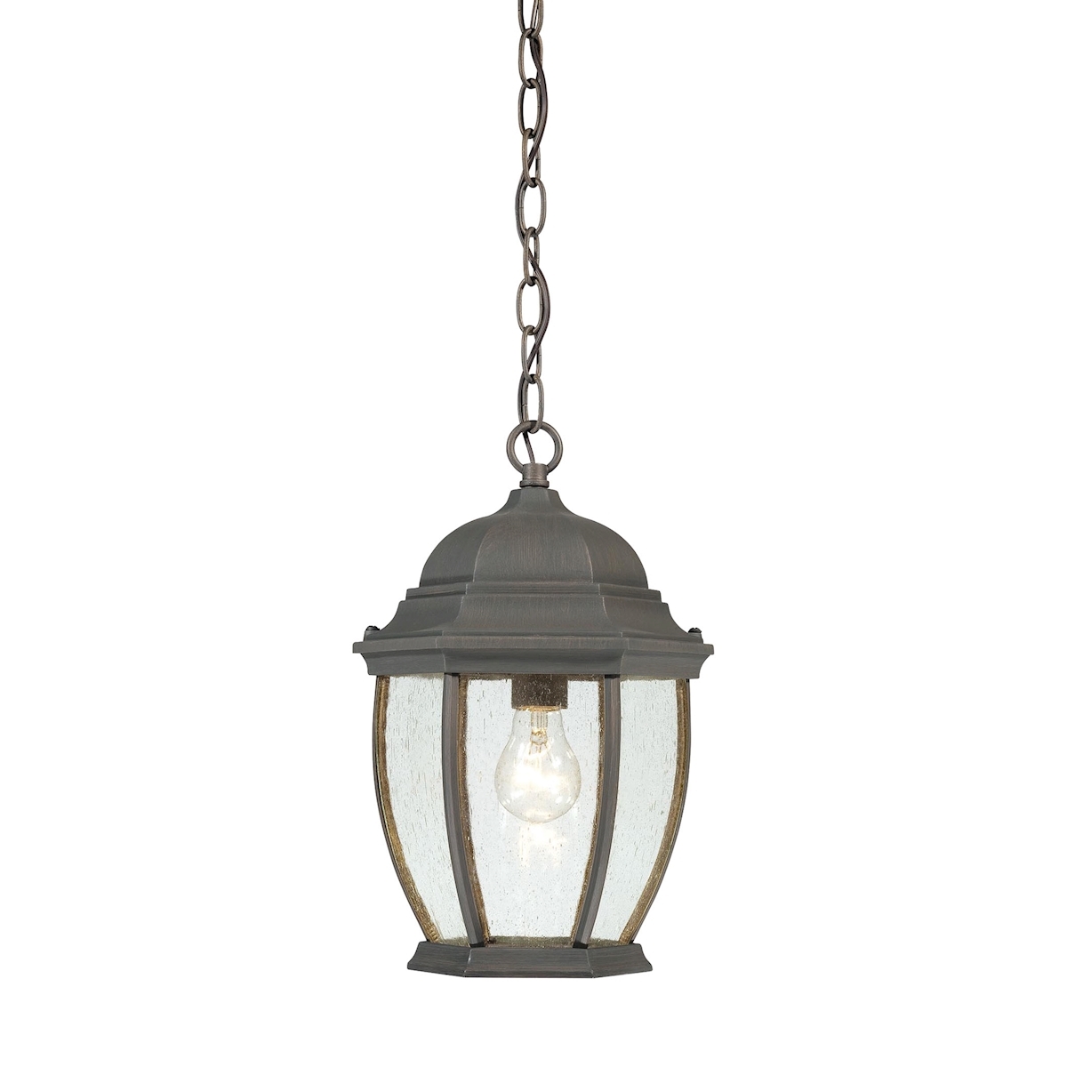 Covington 1-Light Pendant Lantern