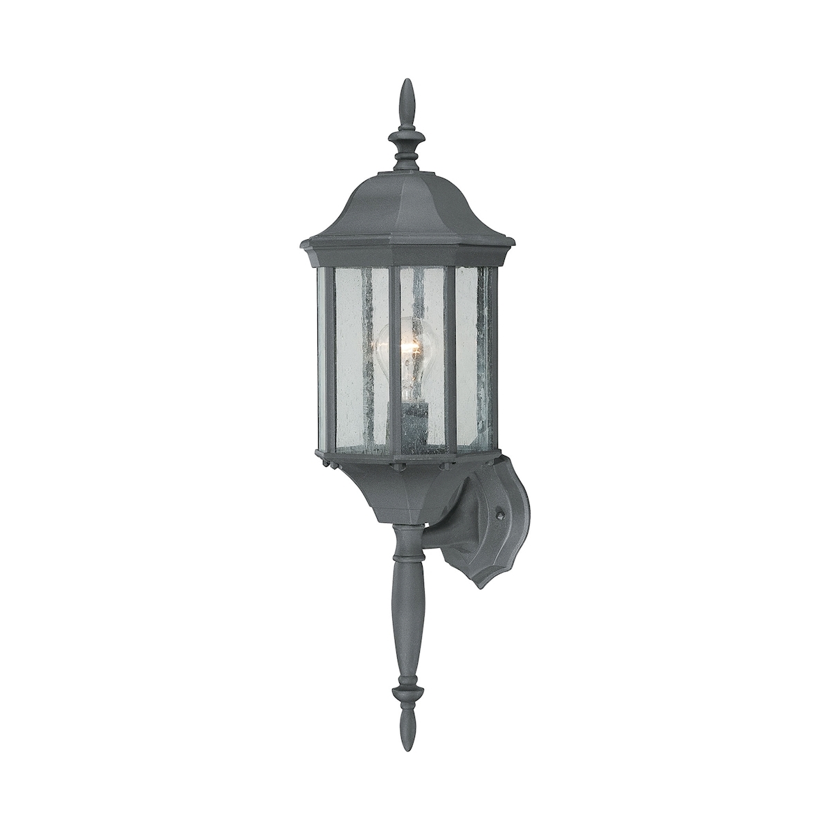Hawthorne 1-Light Outdoor Wall Lantern, Configuration 4
