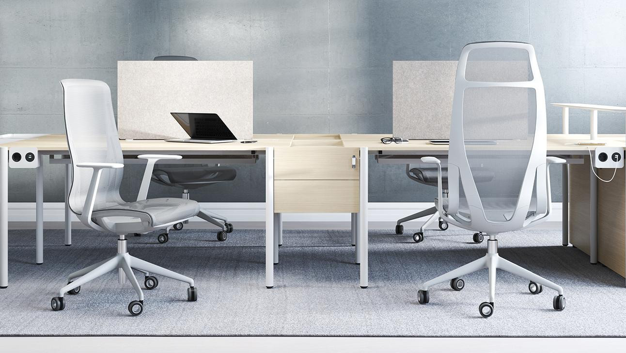D-Chair Executive Swivel Adjustable Office Chair w/Grey Frame & Base
