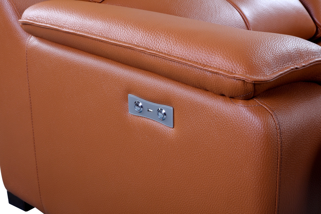 Thompson Leather Loveseat w/2 Power Recliners