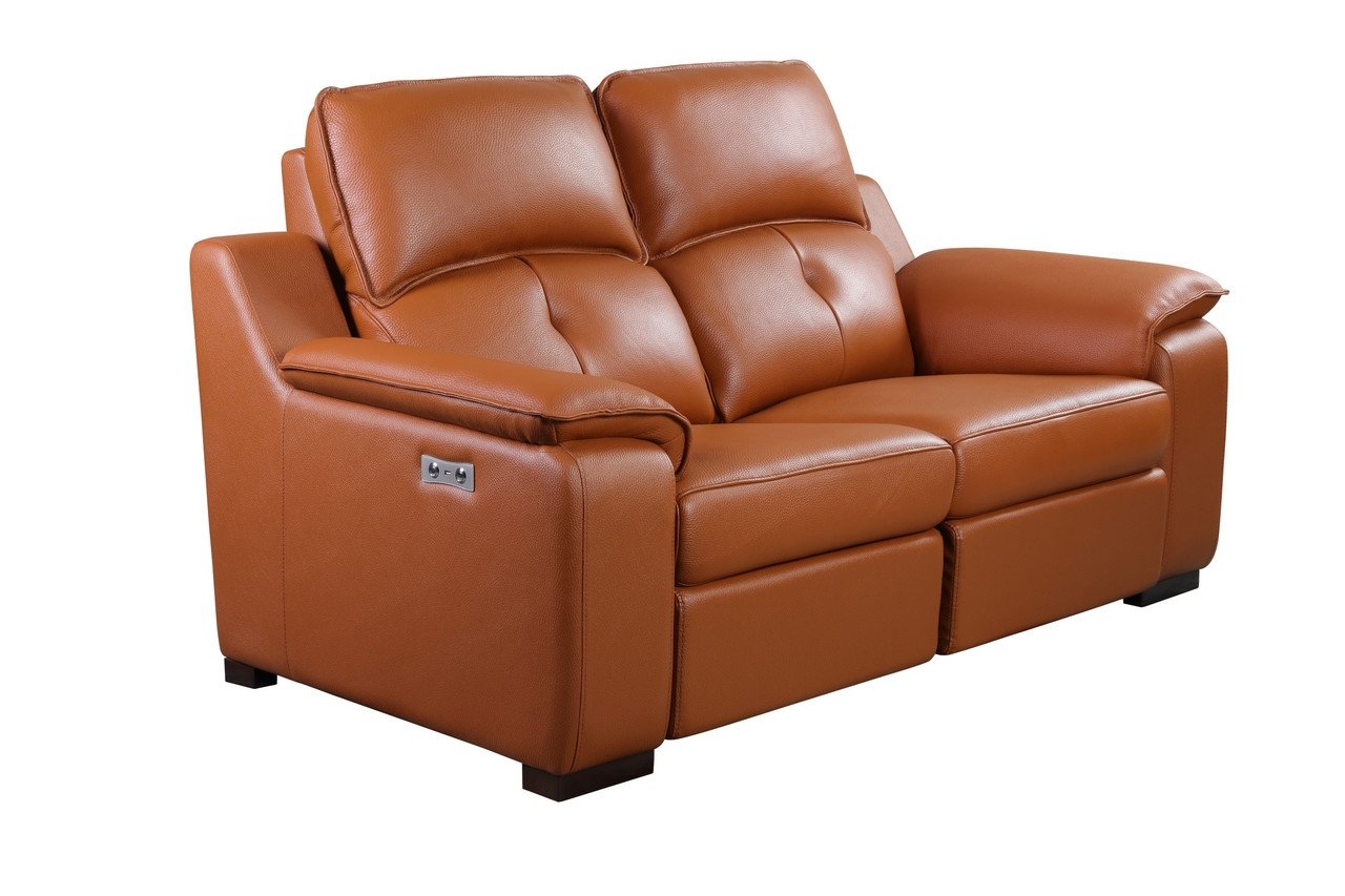 Thompson Leather Sofa w/2 Recliners