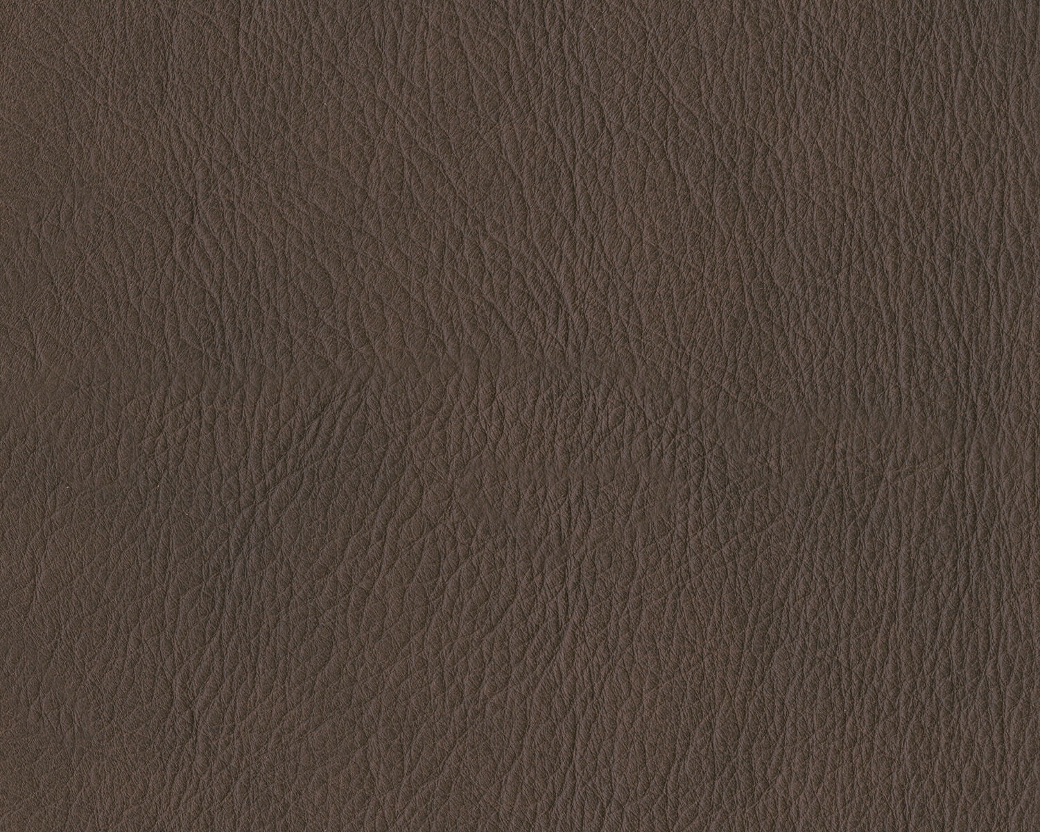 Salvatore Leather