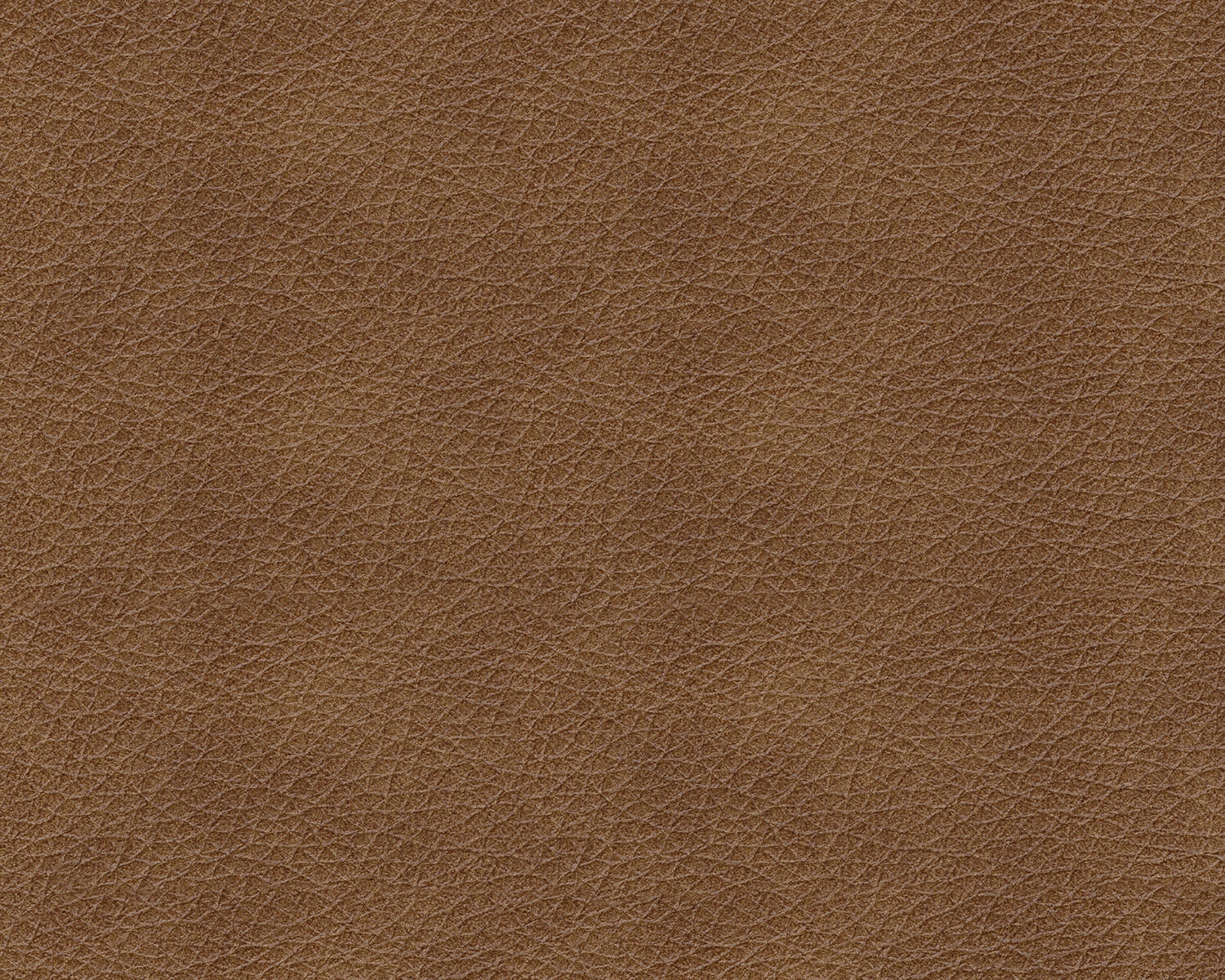 Trasimeno Leather
