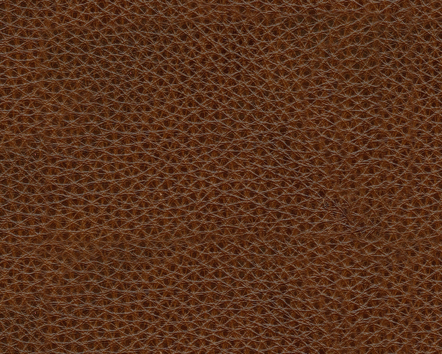 Freyeburg Auburn Leather