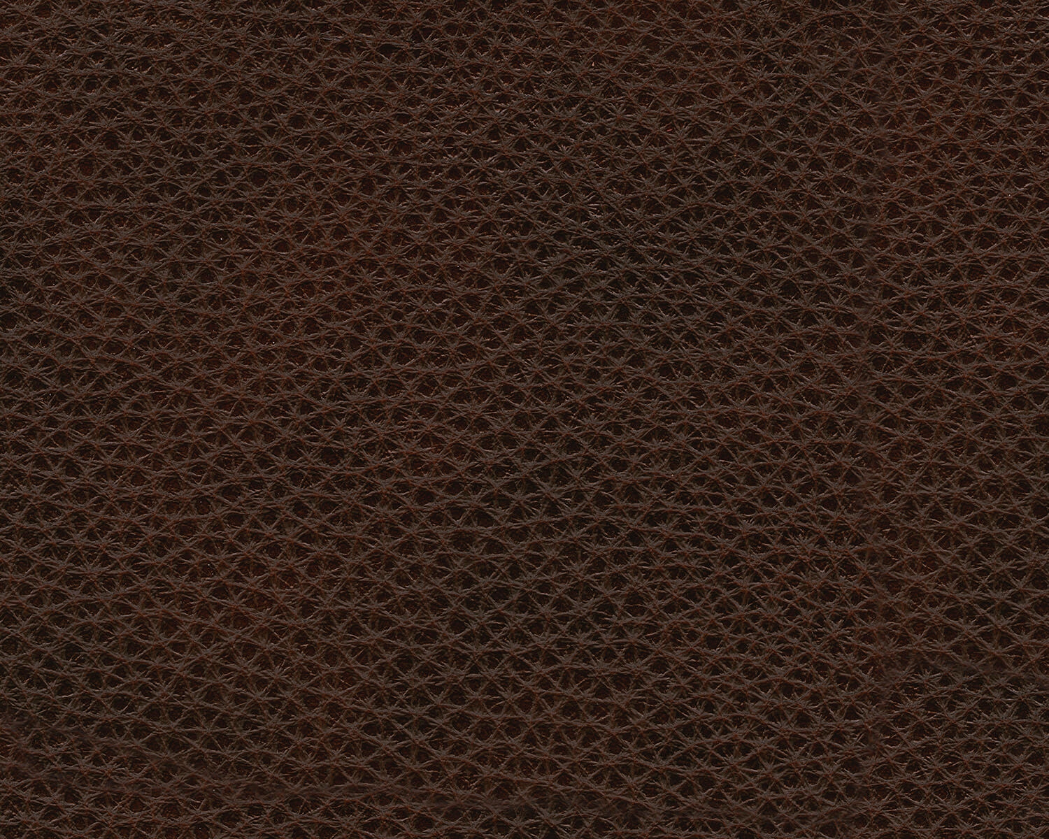Freyeburg Leather Power Recliner Chair