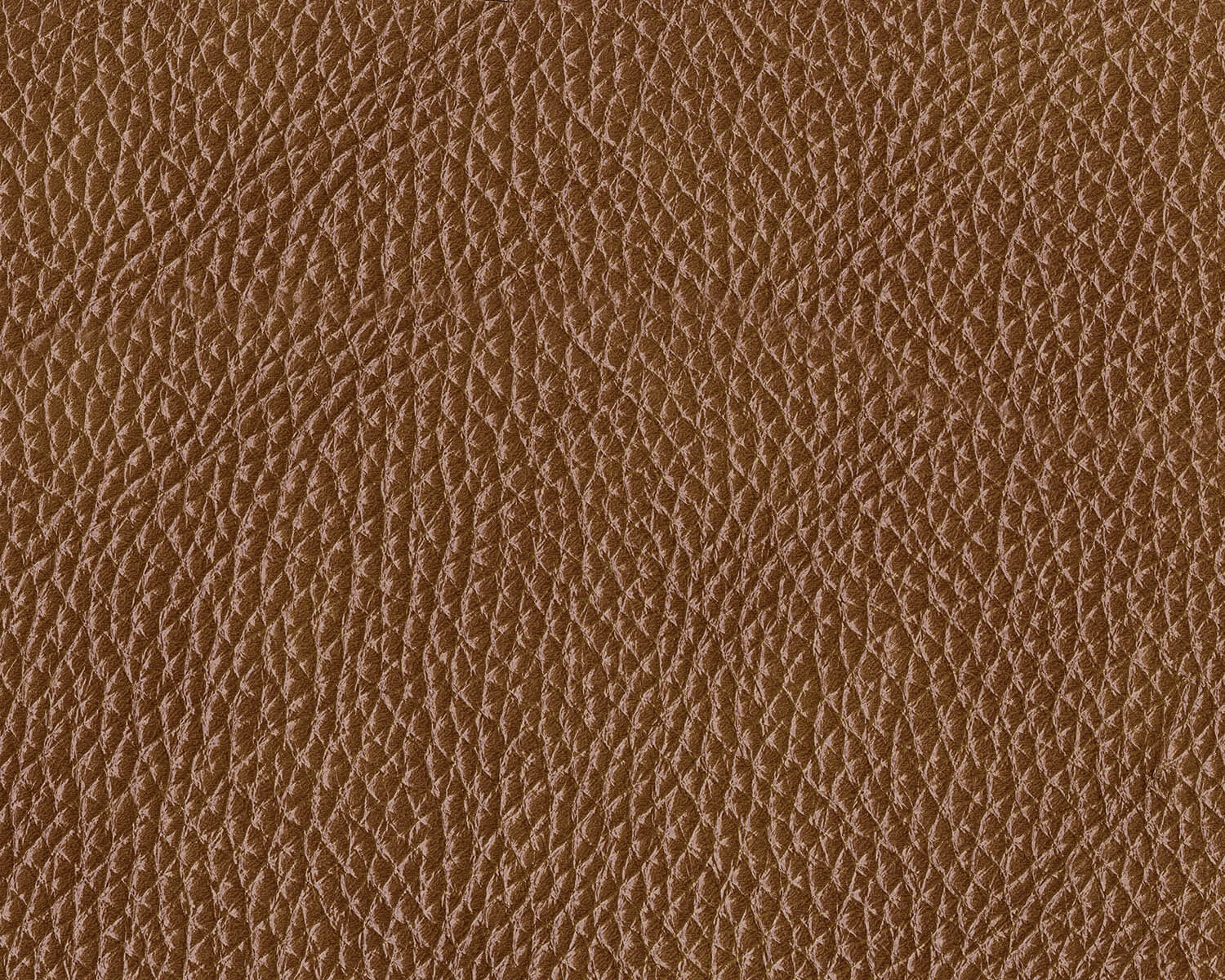 Temmpton Leather