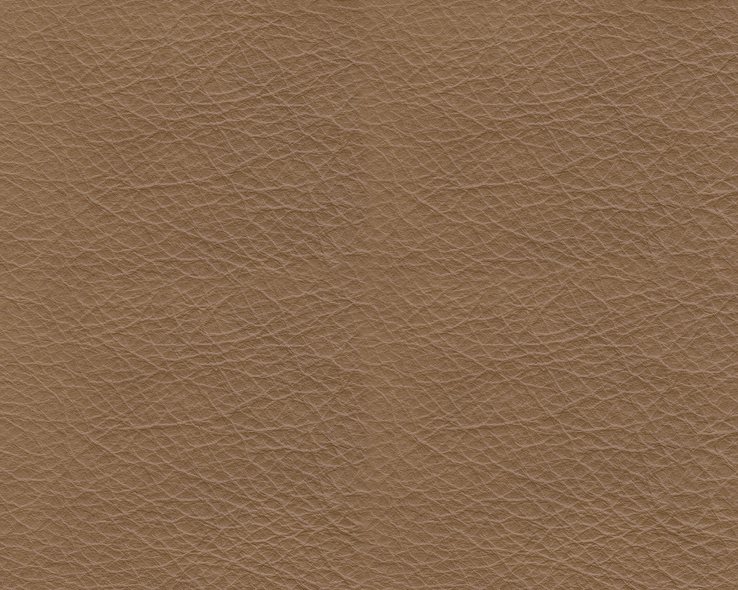 Tryanny Leather