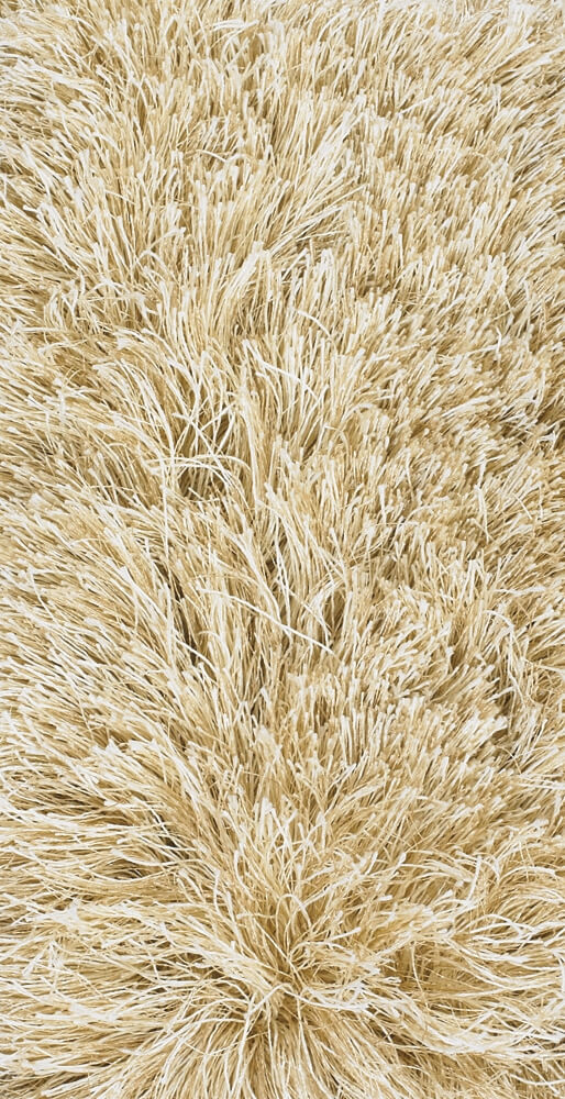 Vani Polyester Rectangular Handmade Rug