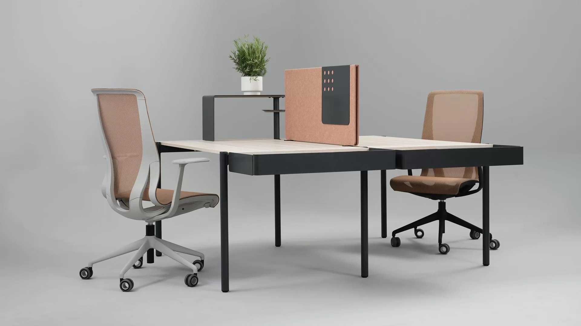 Zedo PET Desk Screen