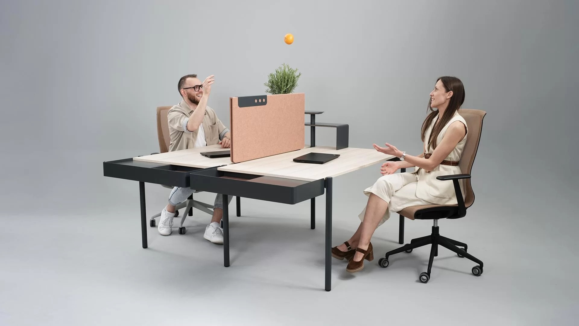Zedo PET Desk Screen