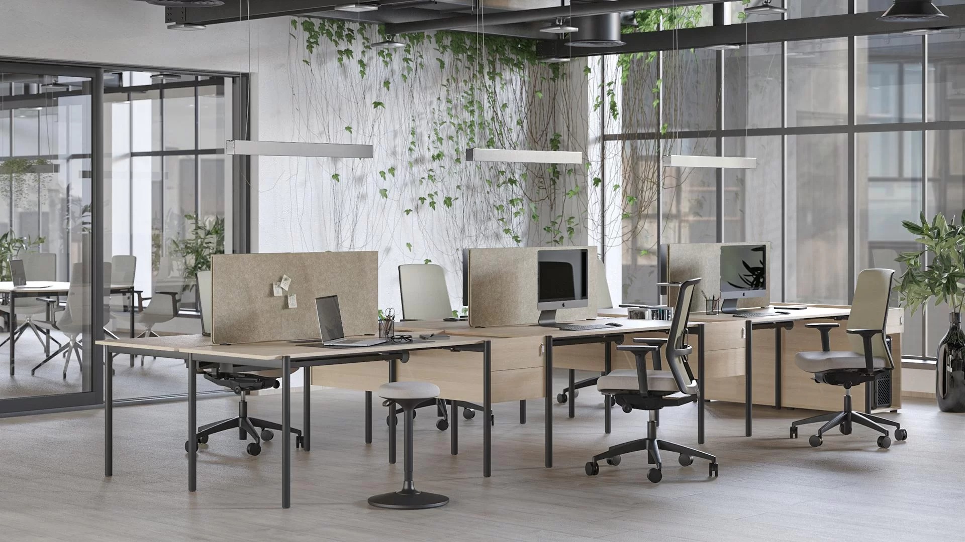 Zedo PET Desk Screen